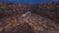 Cod, Salmon, Pufferfish, and Tropical Fish, all have the same amount of health (Image via Minecraft)